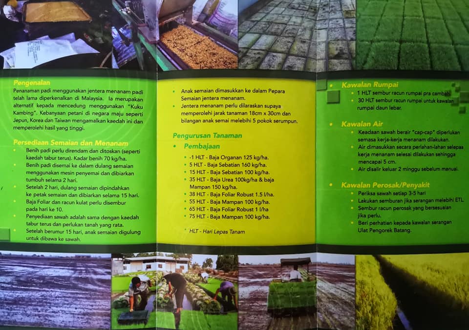 Kaedah Menanam Padi Secara Mekanikal 🌾... - Rice Smart Wheel | Facebook