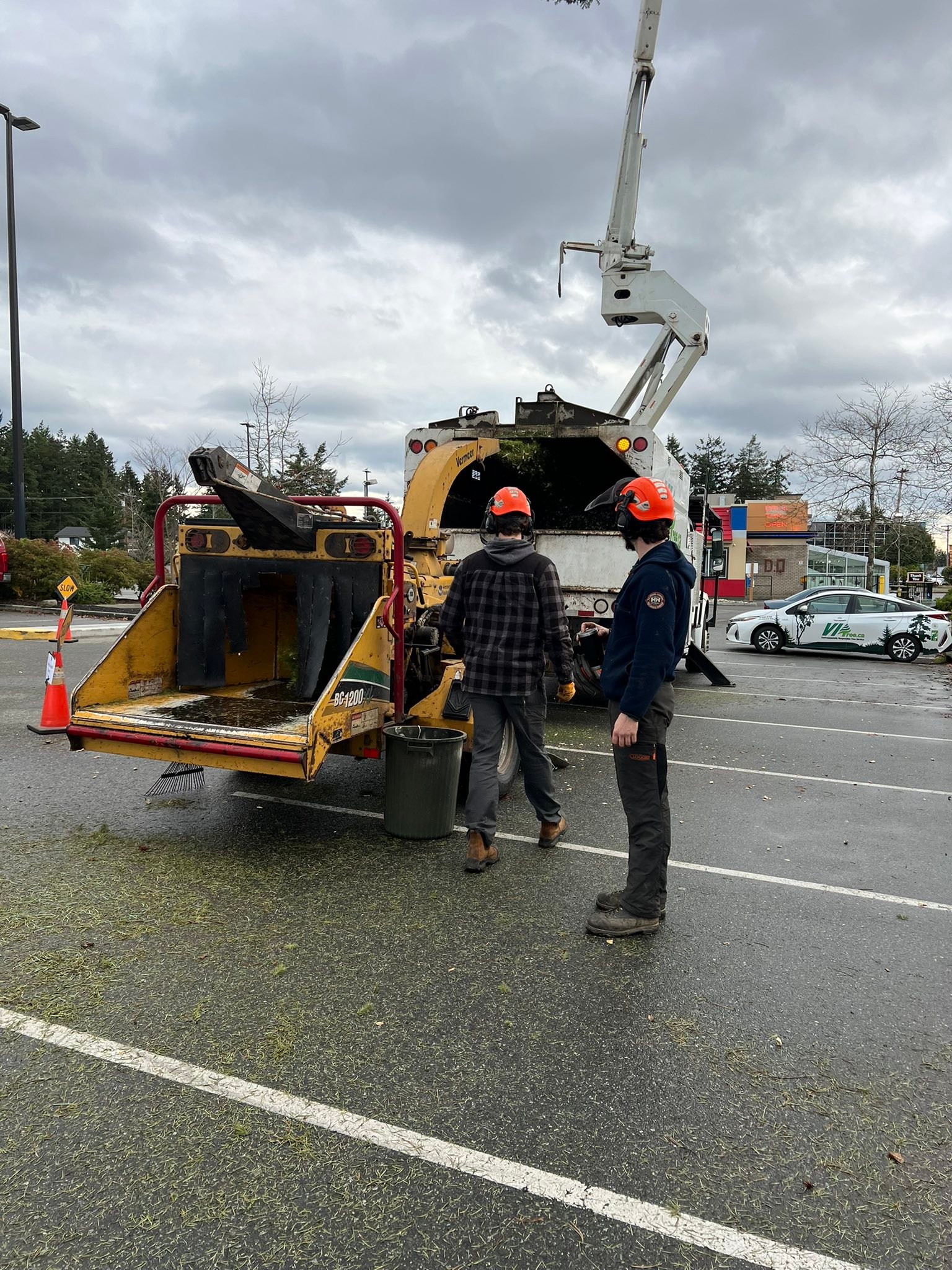 VI Tree Service | Nanaimo BC