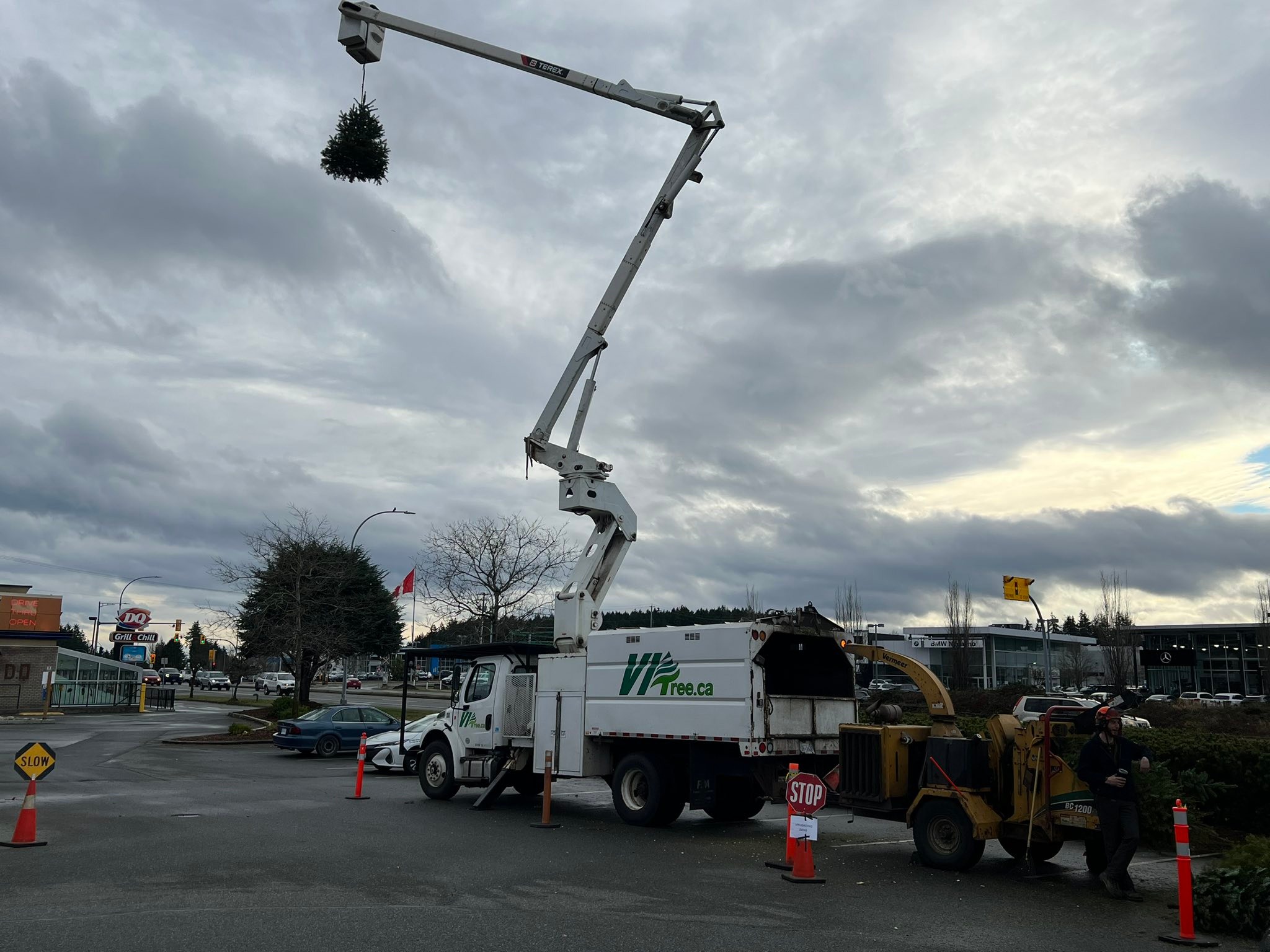 VI Tree Service | Nanaimo BC
