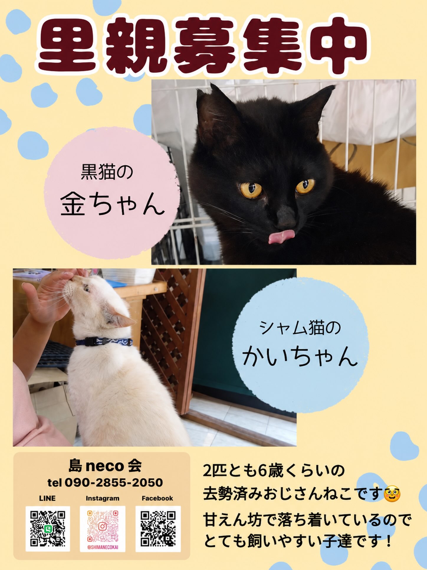 ?media_id=1610323790511532