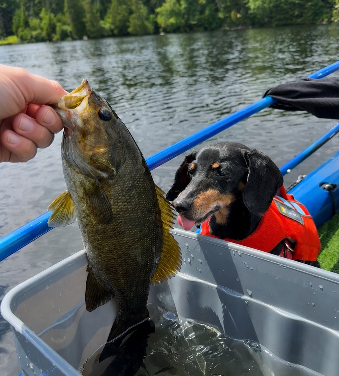 dan fritz fishing pole Sniper II Series Casting Rod 7'4"MH-G The revamped Sniper II Series rods boast a completely redesigned 40T HM carbon fiber blank Simpson University gets second consecutive