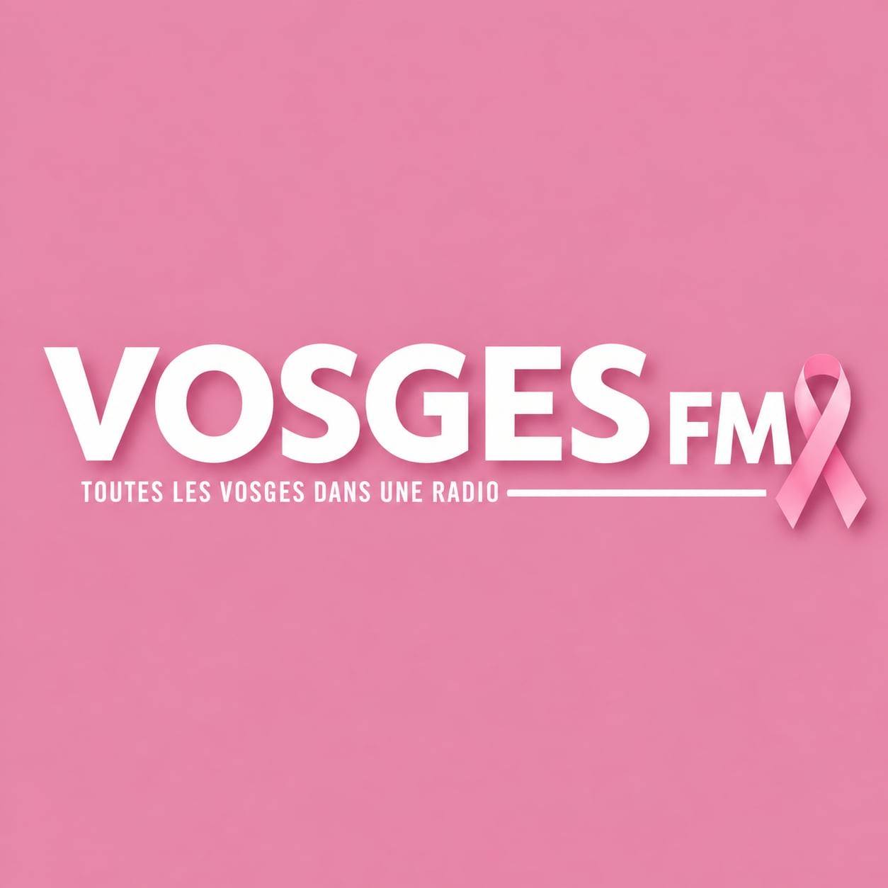 Radio Vosges FM - [ 🏒 TEAM WILDCATS ] C'est le retour de... | Facebook