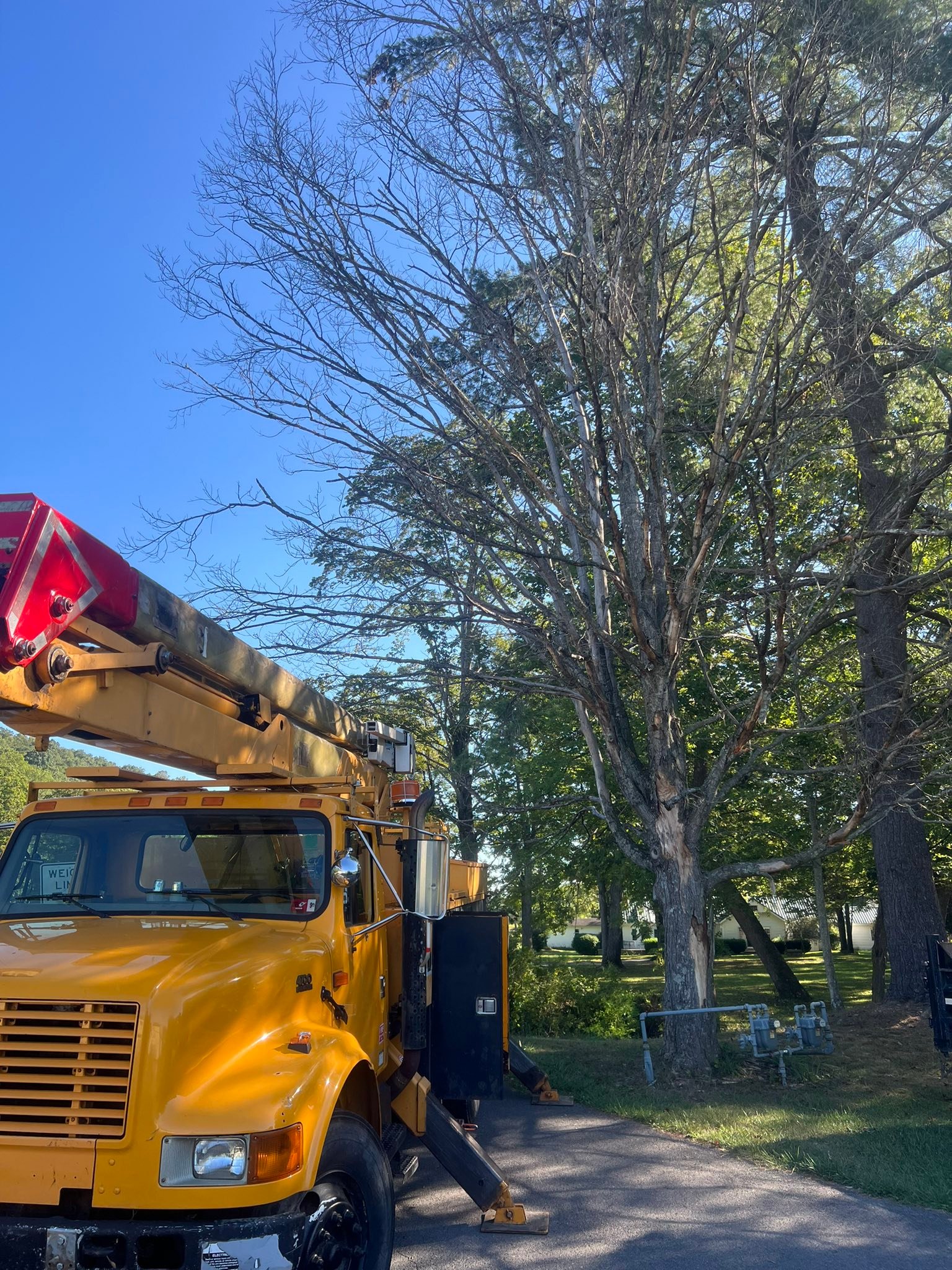 Top Notch Tree Care added a new photo. - Top Notch Tree Care
