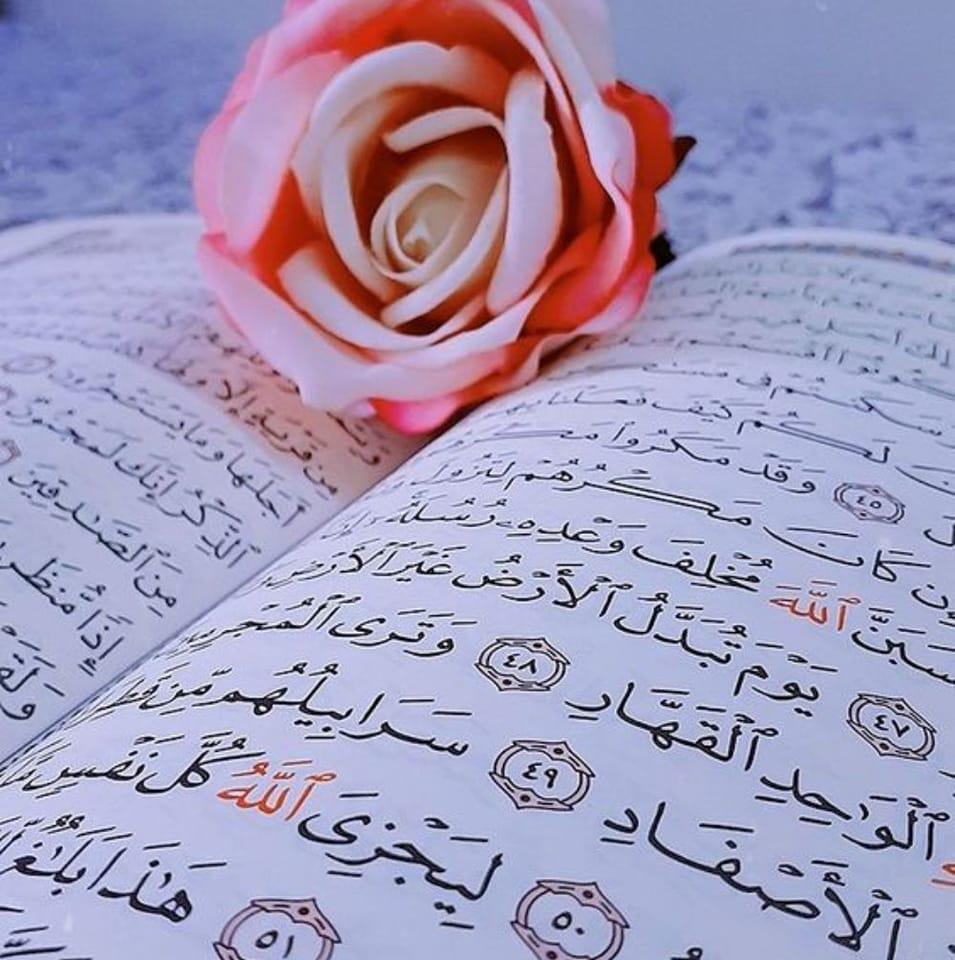 آلا بذكر الله تطمئن القلوب @ [543953302011206:49210:@أبرز المعجبين ...