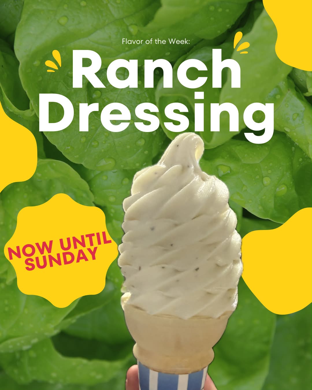 Fran's Dairy Bar introduces ranch flavored ice cream