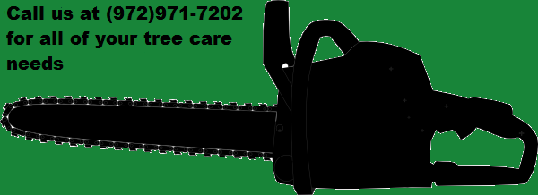 Madden Tree Care | Allen TX