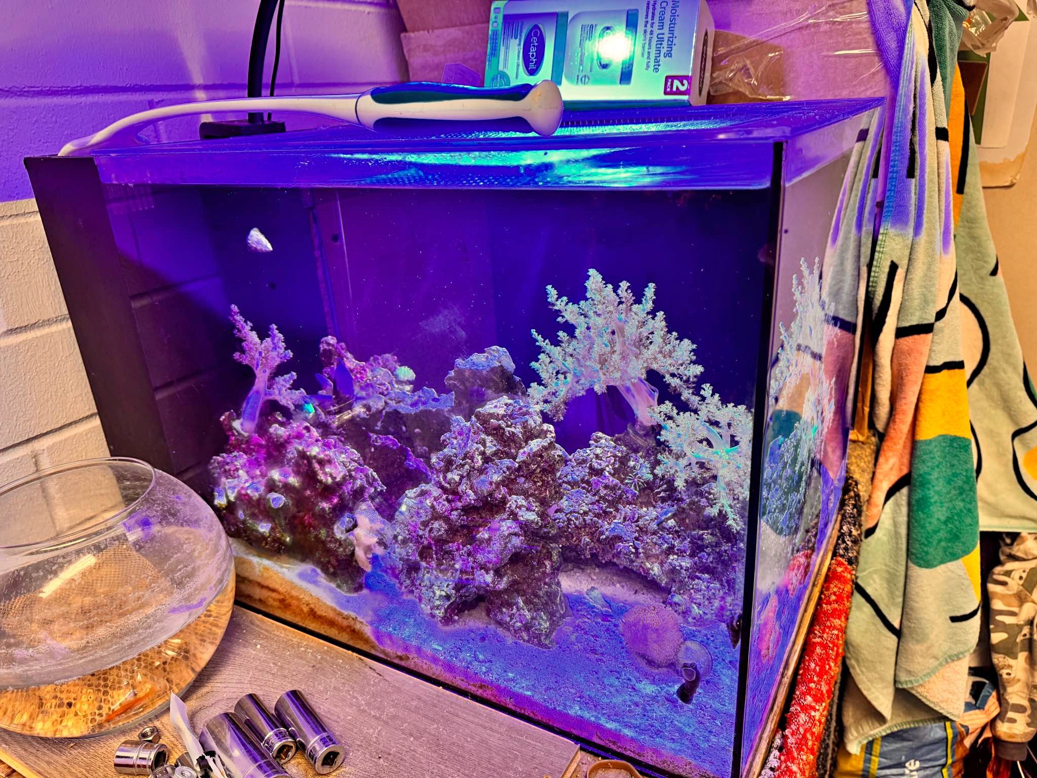 Aquarium with Fluval in mint condition - Aquariums - Airway Heights ...