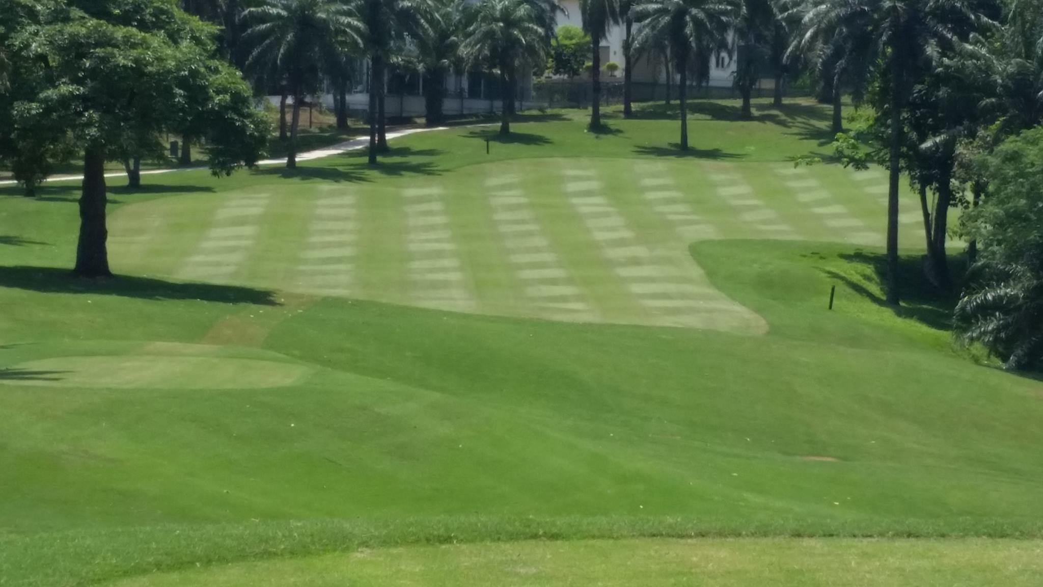 Dynamic Turf Management | Noosa QLD