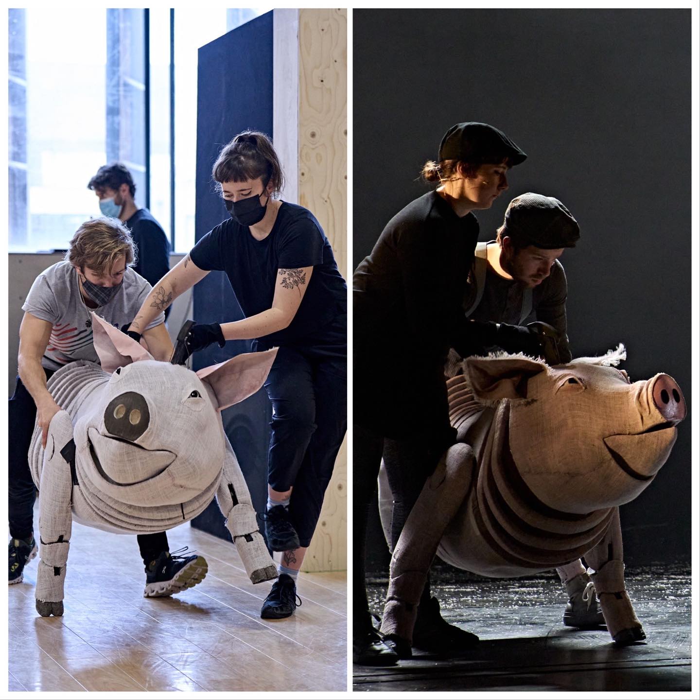 Animal Farm On Stage - From the rehearsal room to the stage! 🐷 Matthew ...
