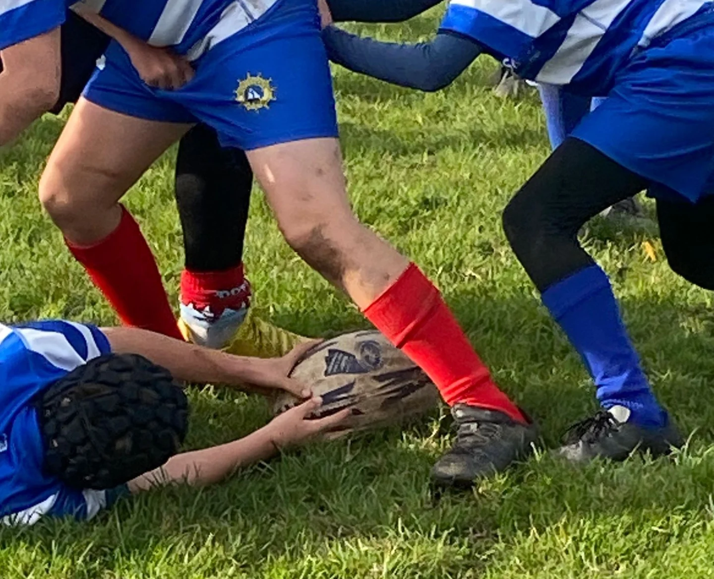 Whitstable Rugby Football Club - Mini & Junior Section