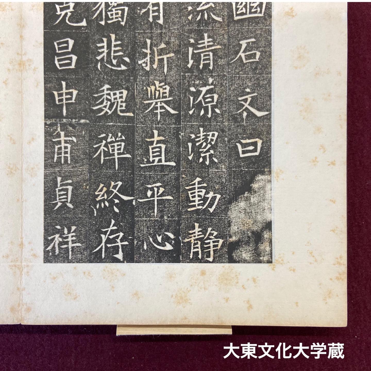文鎮 霊芝 書道 自家蔵出し 良かっ