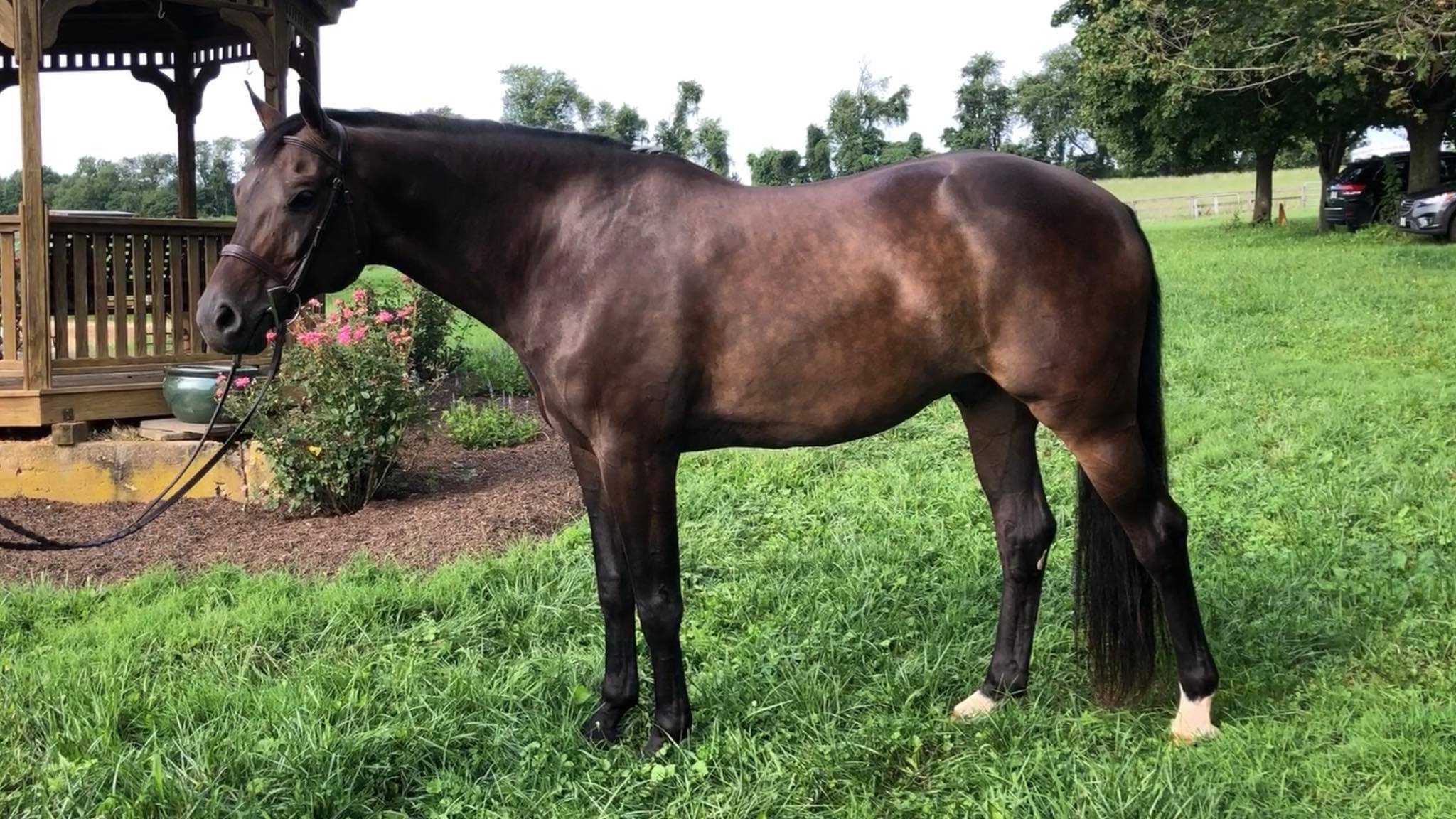 Noble Stables | Baltimore MD