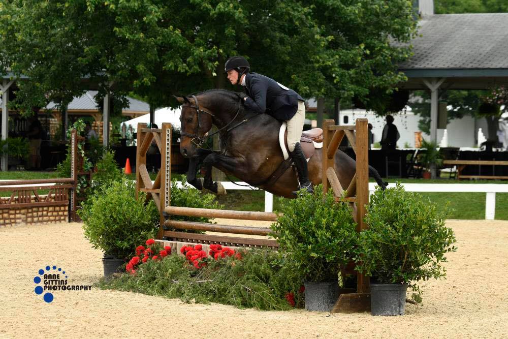 Noble Stables | Baltimore MD