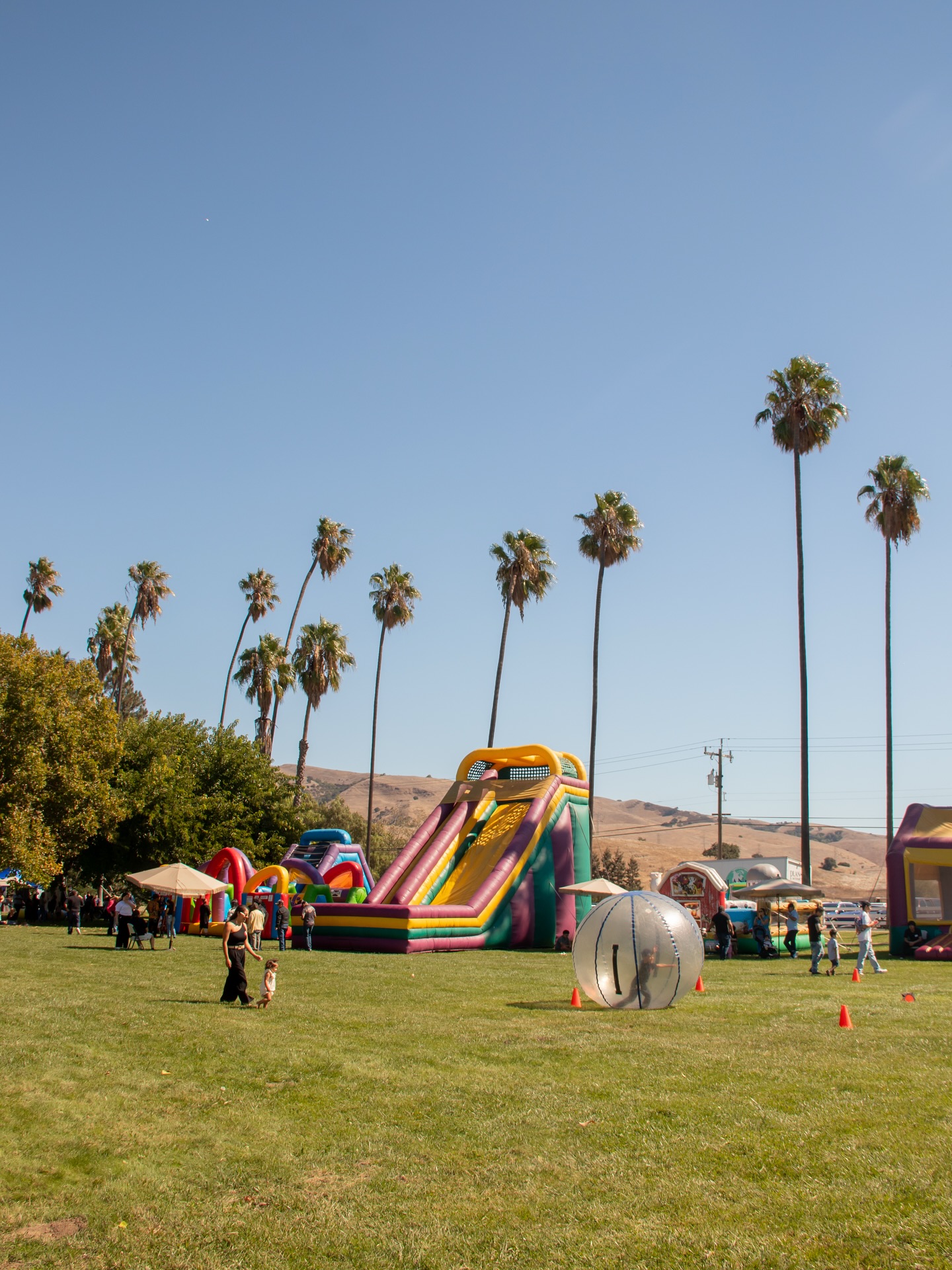 Coyote Ranch | San Jose CA