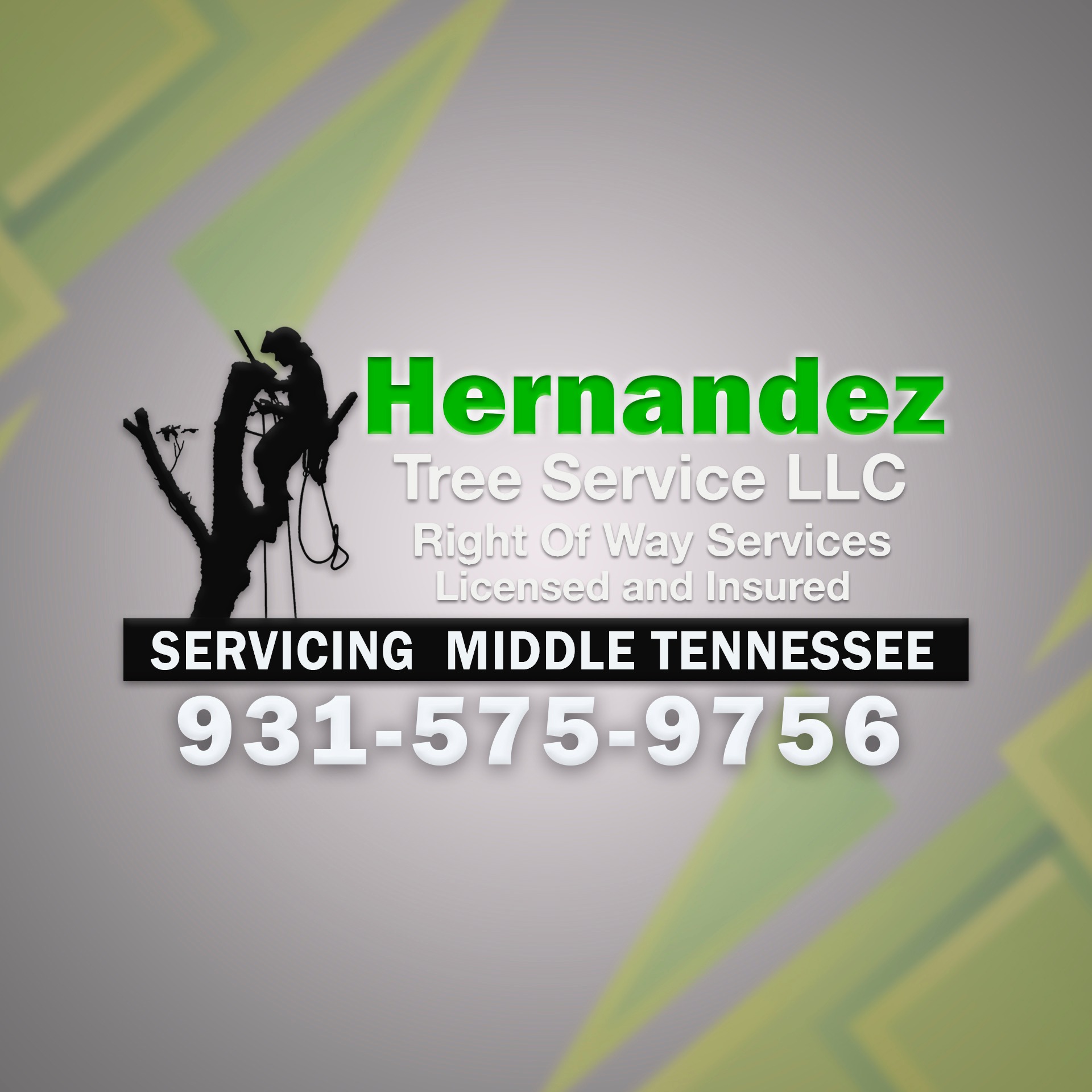 NFL Super Bowl 2026 Prediction. Hernandez Tree Service LLC #Seahawks # ...
