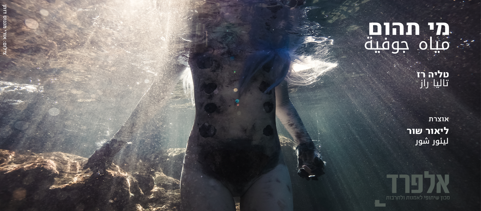 Talya Raz - Artist