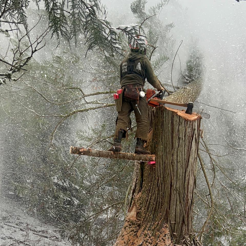 Experience counts #bluecollar #supportbluecollar #workingman #logging # ...