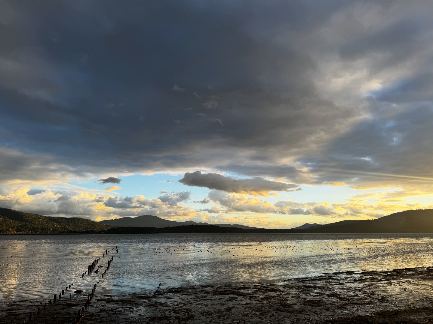 Visit Sandpoint, Idaho - Summer vibes at Springy Point. Enjoy the ...