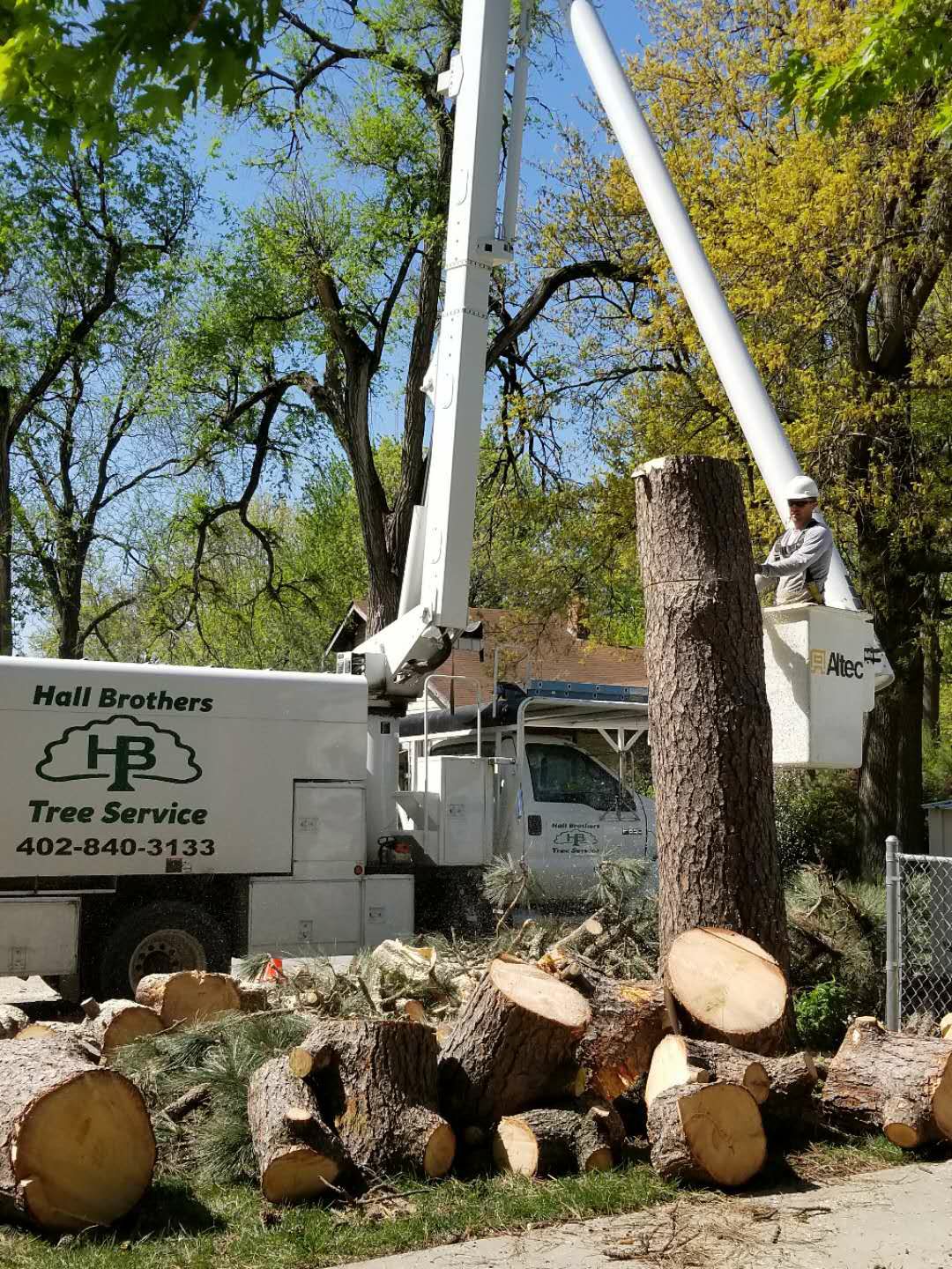 Hall Brothers Tree Service | Lincoln NE