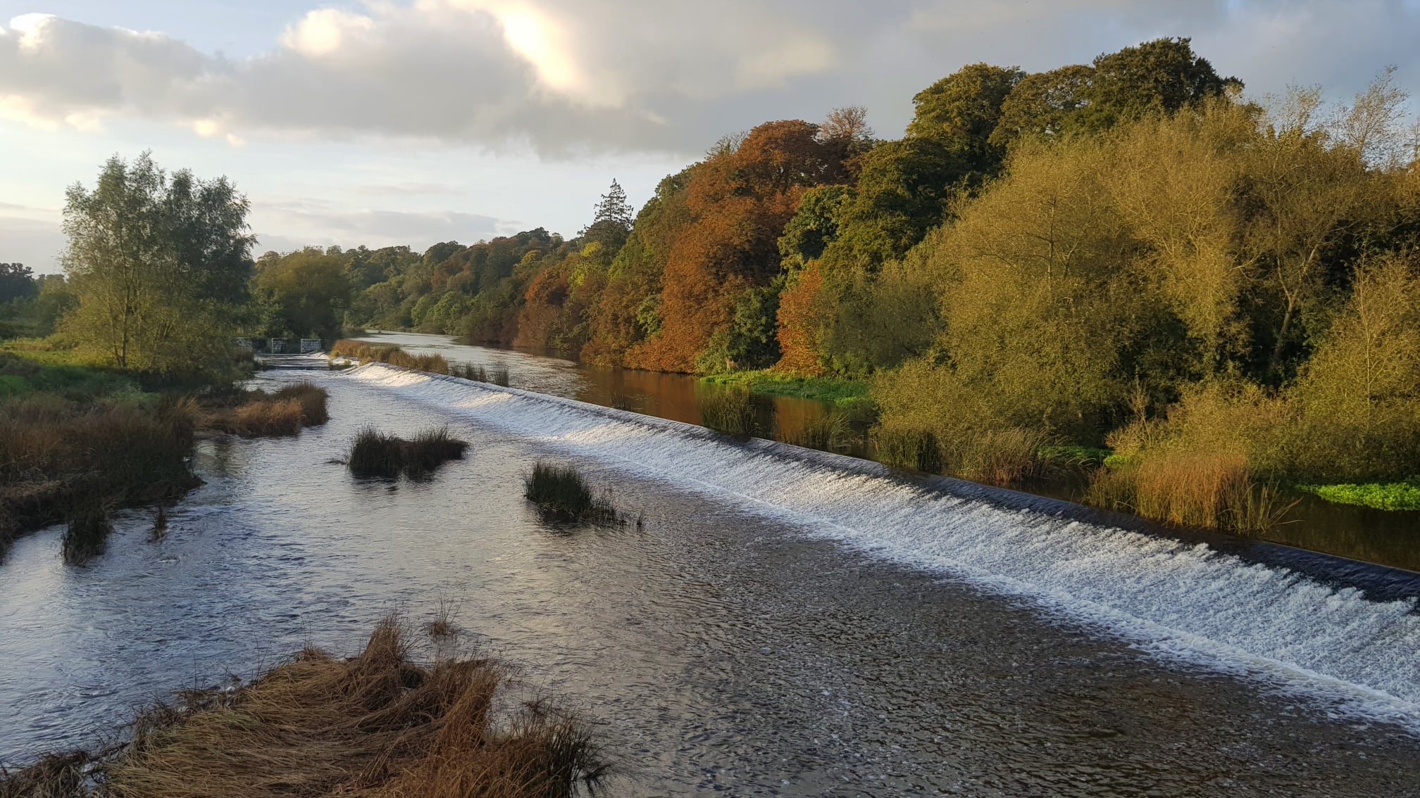 The River Boyne in all her glory, as... - Nature Days Ireland