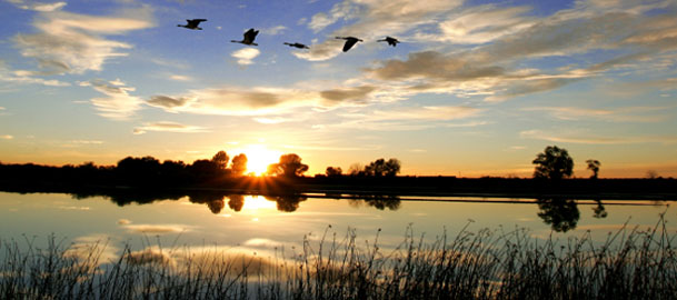 Tonkaway Ranch | College Station TX