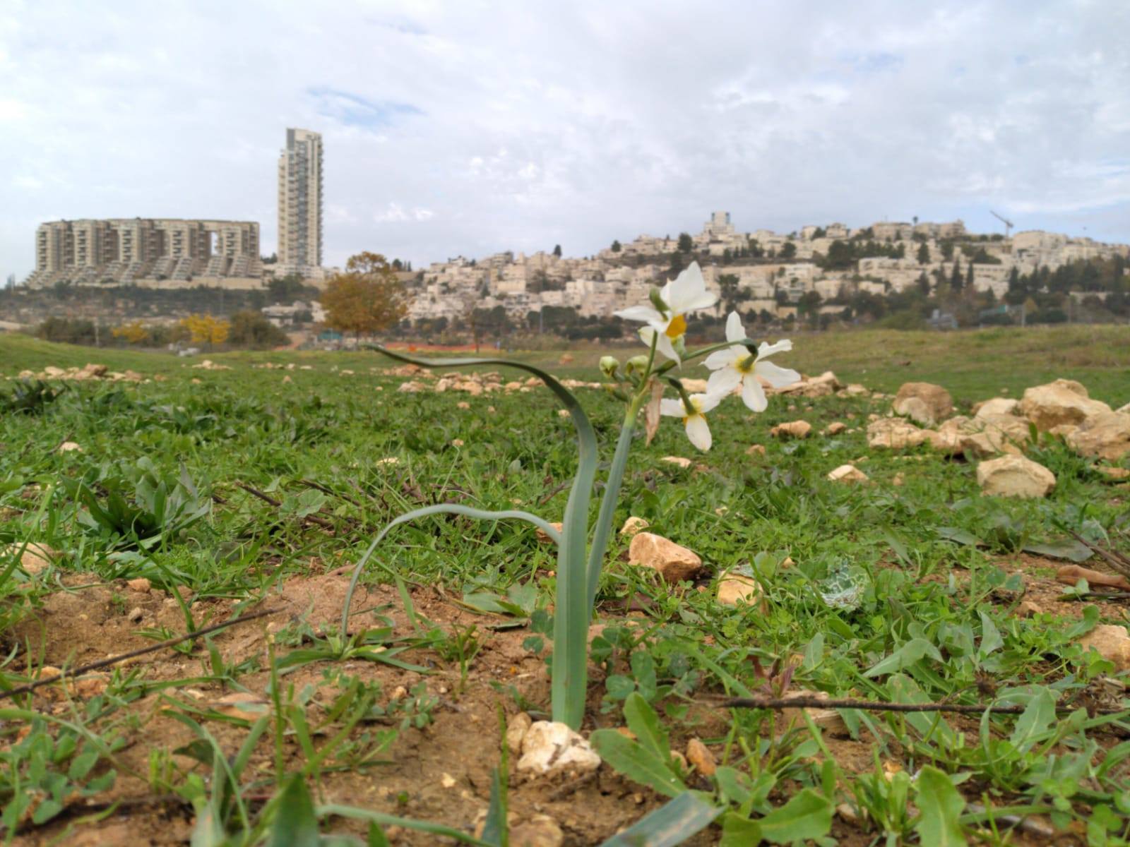 מורים?... - פארק עמק הצבאים ע