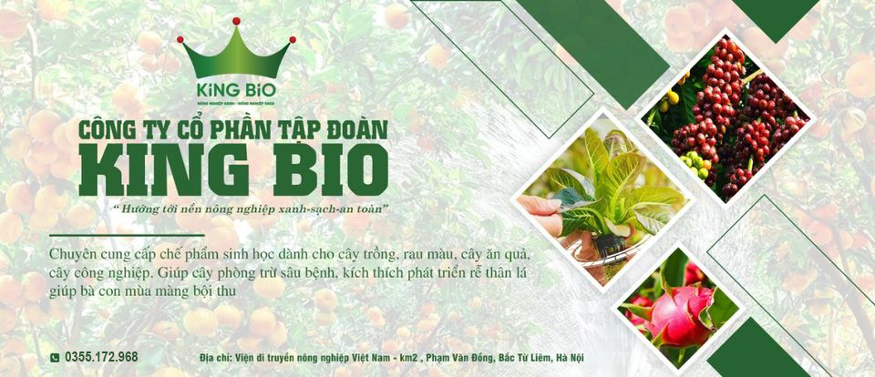 King Bio - Chế Phẩm Diệt Côn Trùng Sinh Học | Hanoi