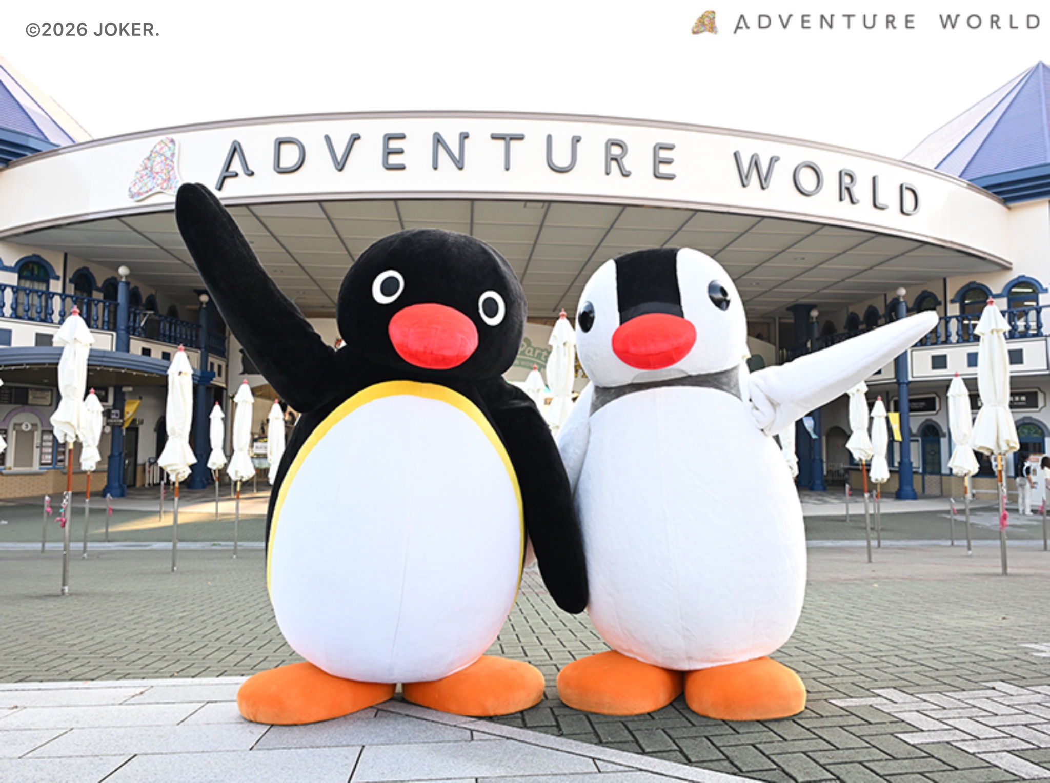 8月22日(土)より『PANDA JOURNEY』シリーズをはじめとするパンダ実写