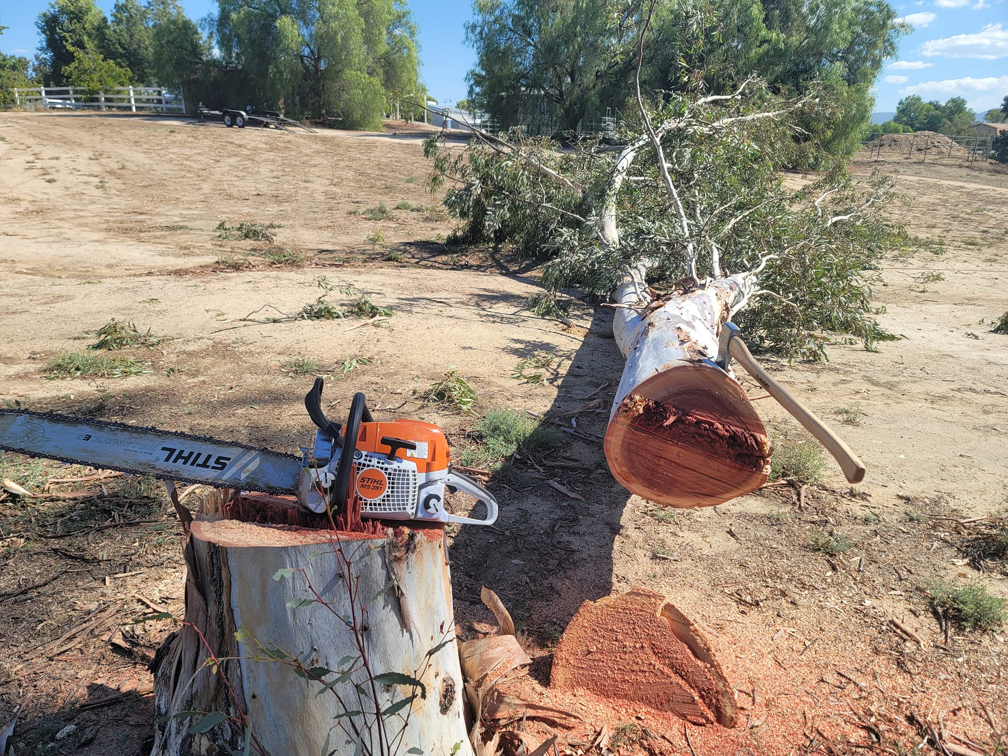 Master Arbor Service Inc | San Diego CA