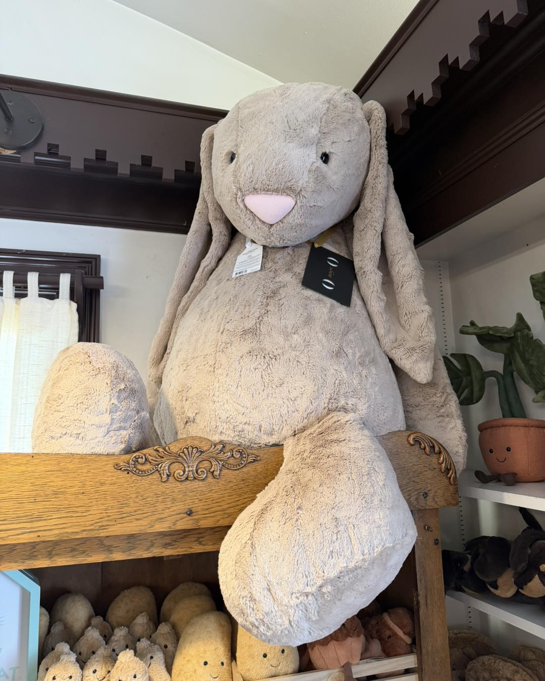Jellycat GIGANTIC Bunny is still available. Don't miss out on this