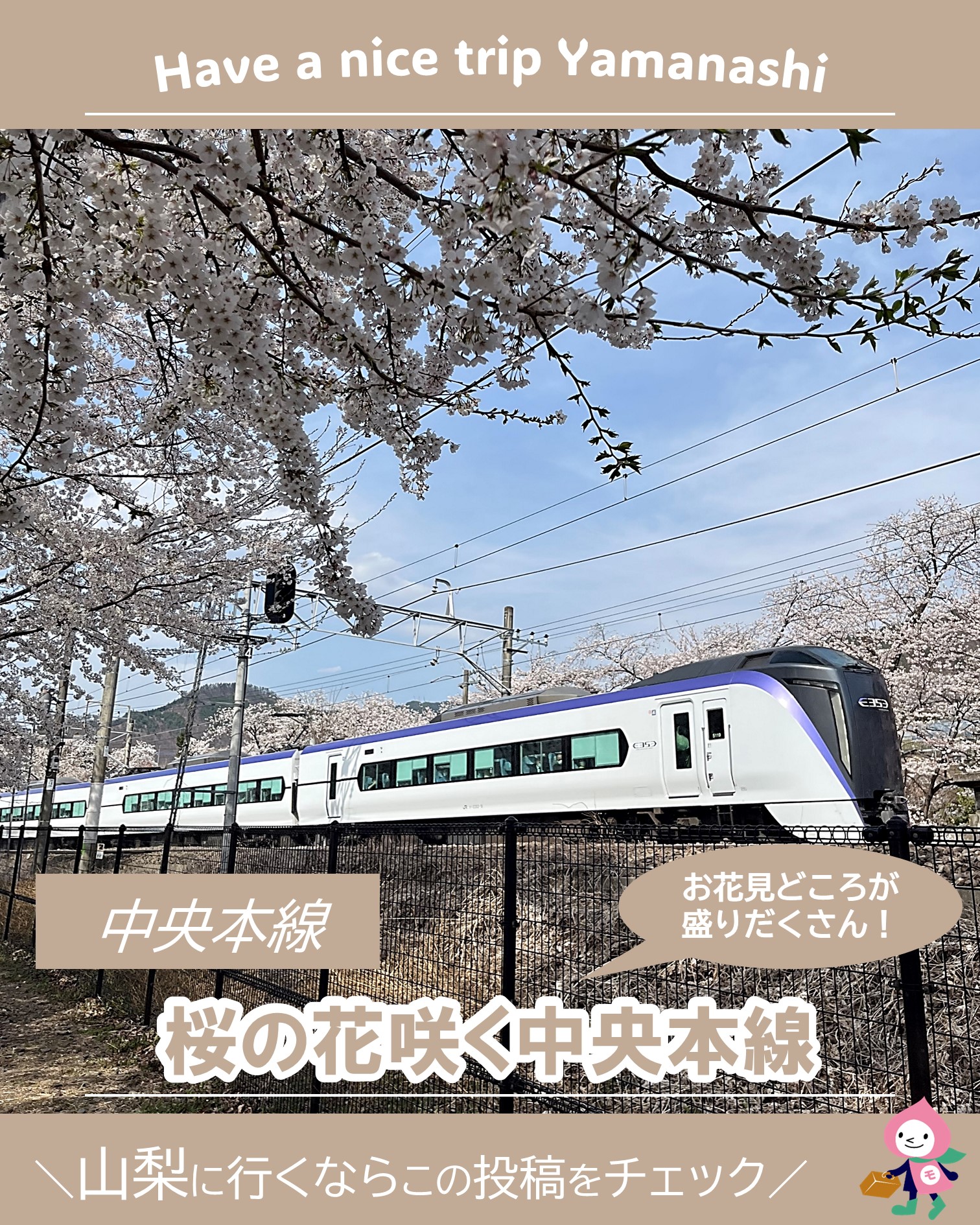 お花見どころが盛りだくさん！】 『桜の花咲く中央本線』 もうすぐ桜の
