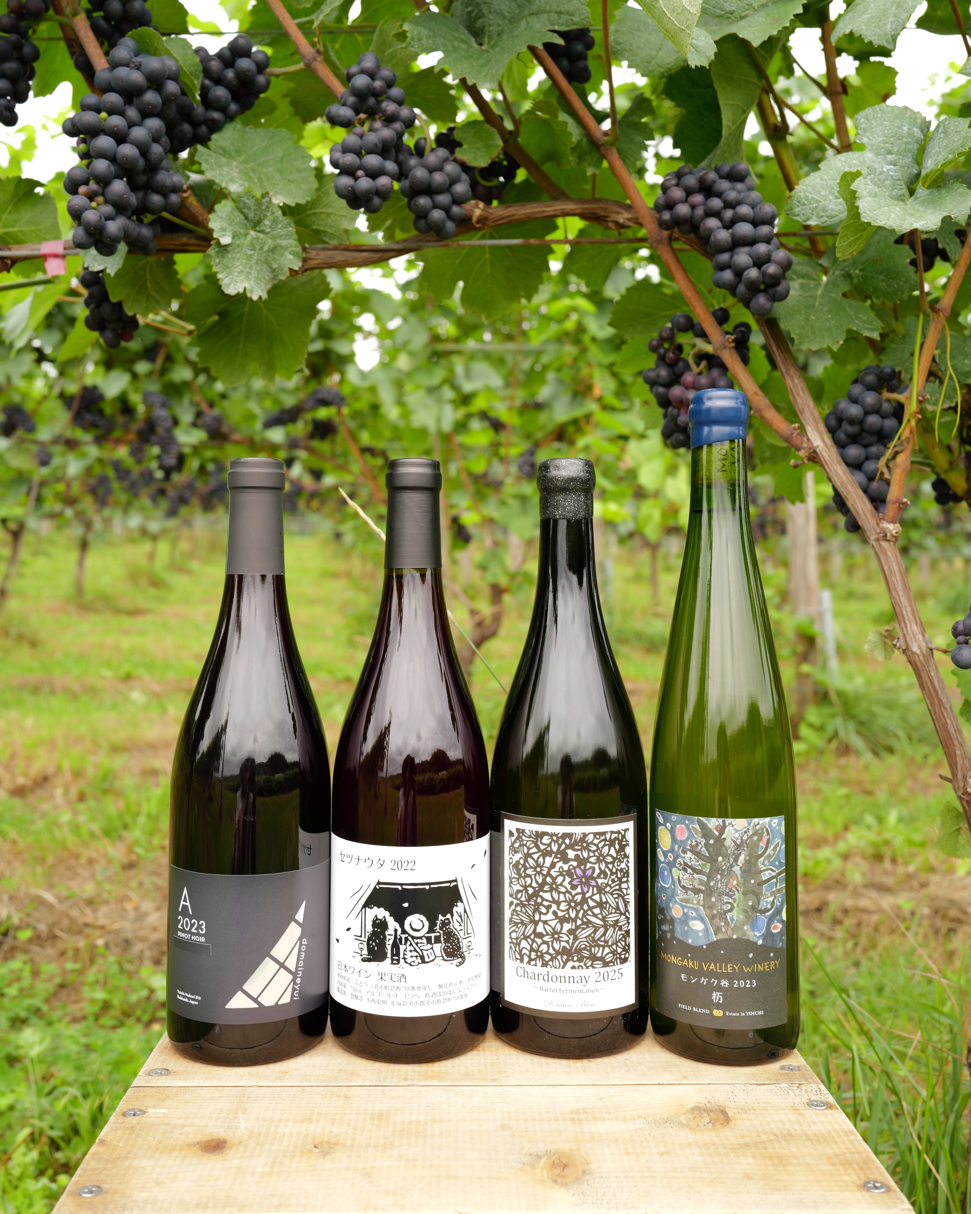 DOMAINE YUI | Yoichi-gun Hokkaido