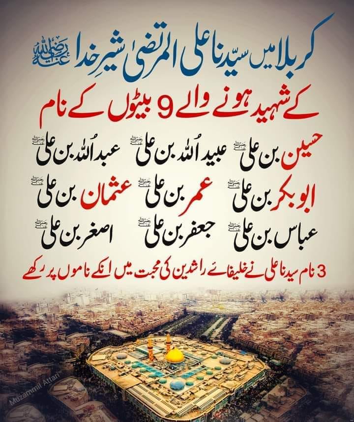 CH Ali Aslam Jutt