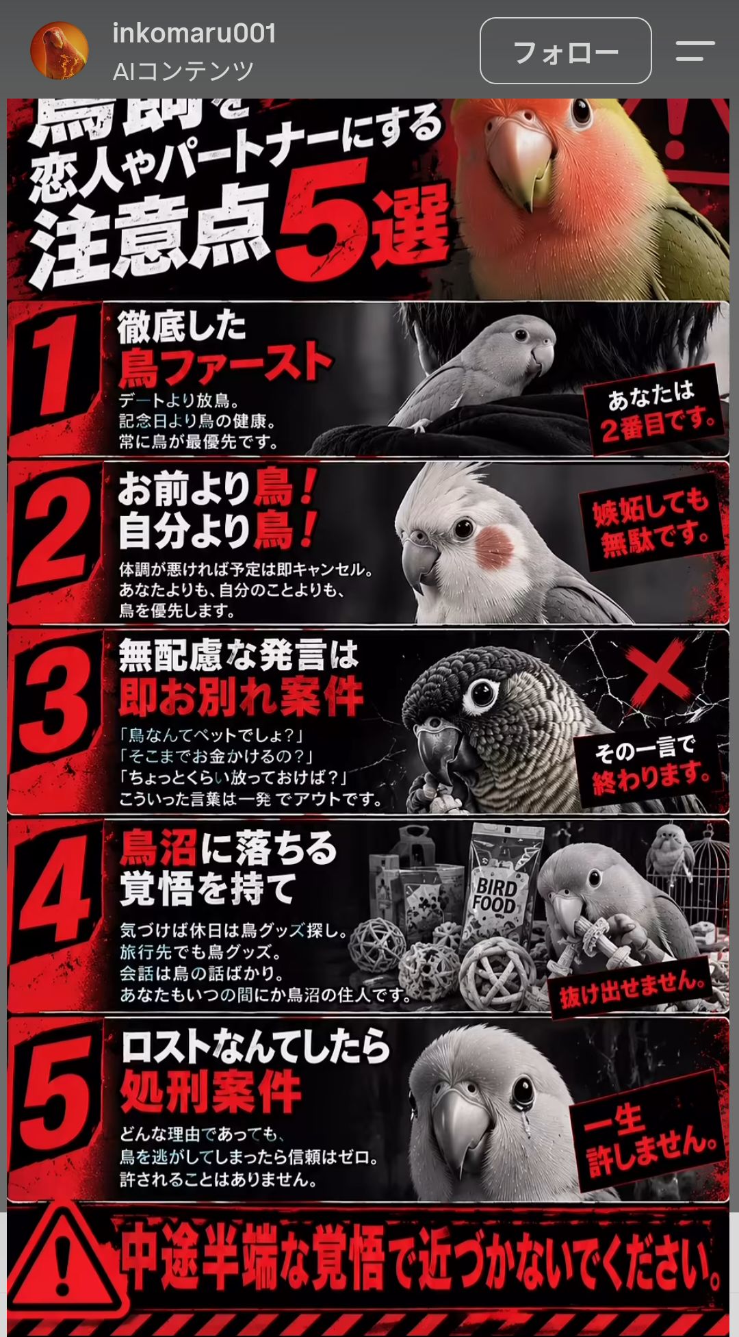 おはようございます目 セキセイインコスカイブルー マリン 手乗りえね