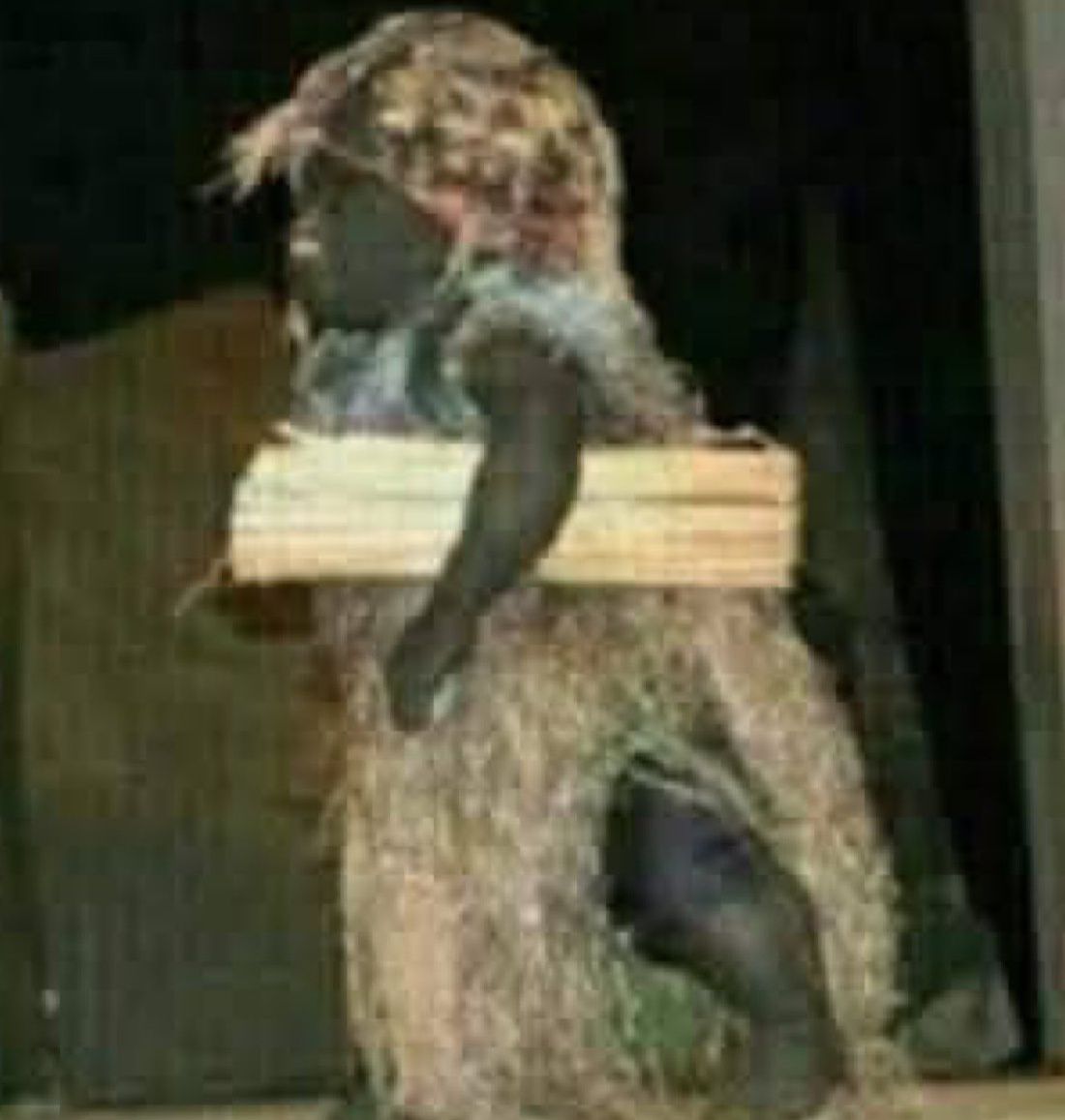 For those ppl that has come in contact with bush baby Pls is this