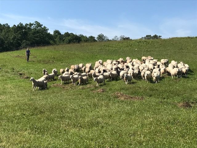 Irish Ridge Farm B&E