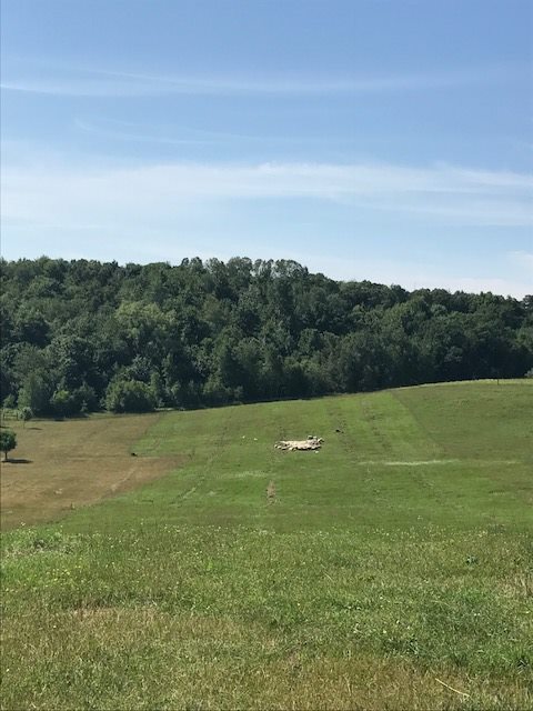 Irish Ridge Farm B&E