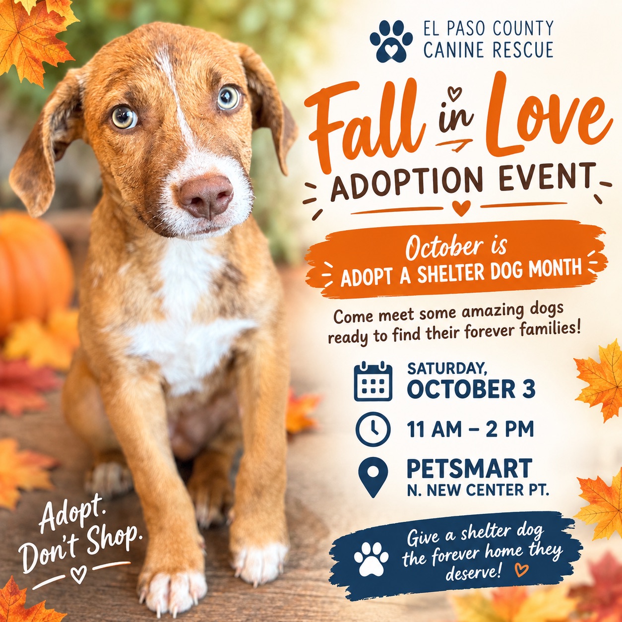 Fall in Love Adoption Event