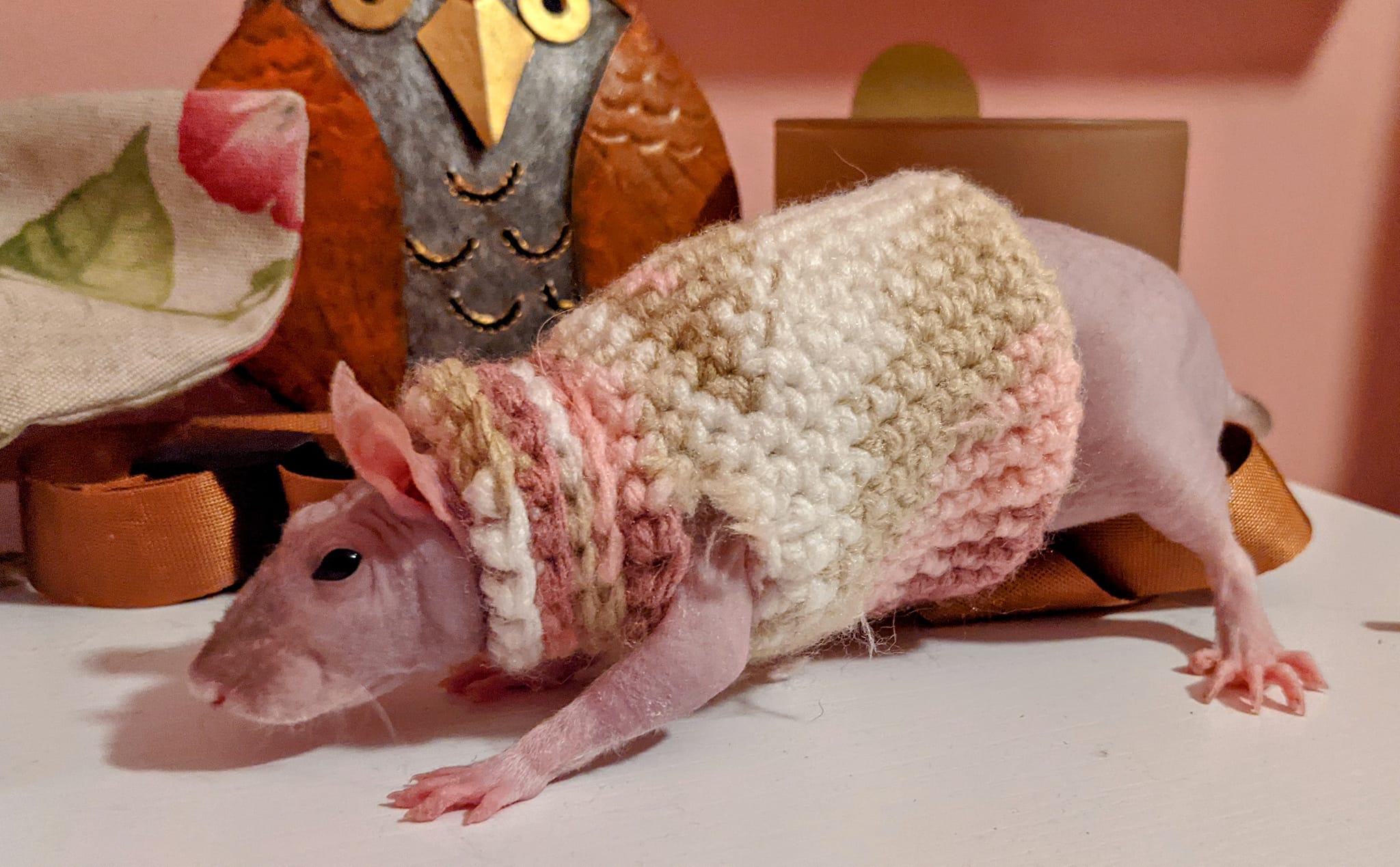 Jellybean rat