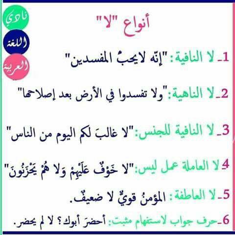 ما هي أنواع 
