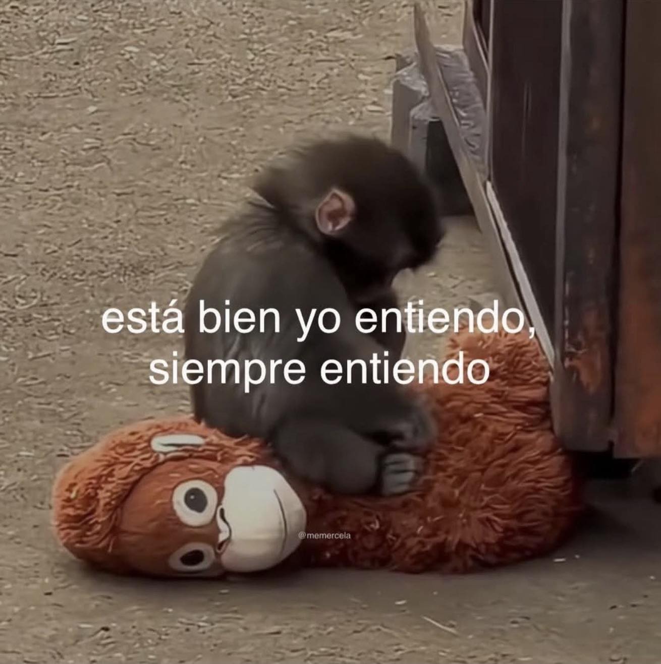 Yeei Yeei