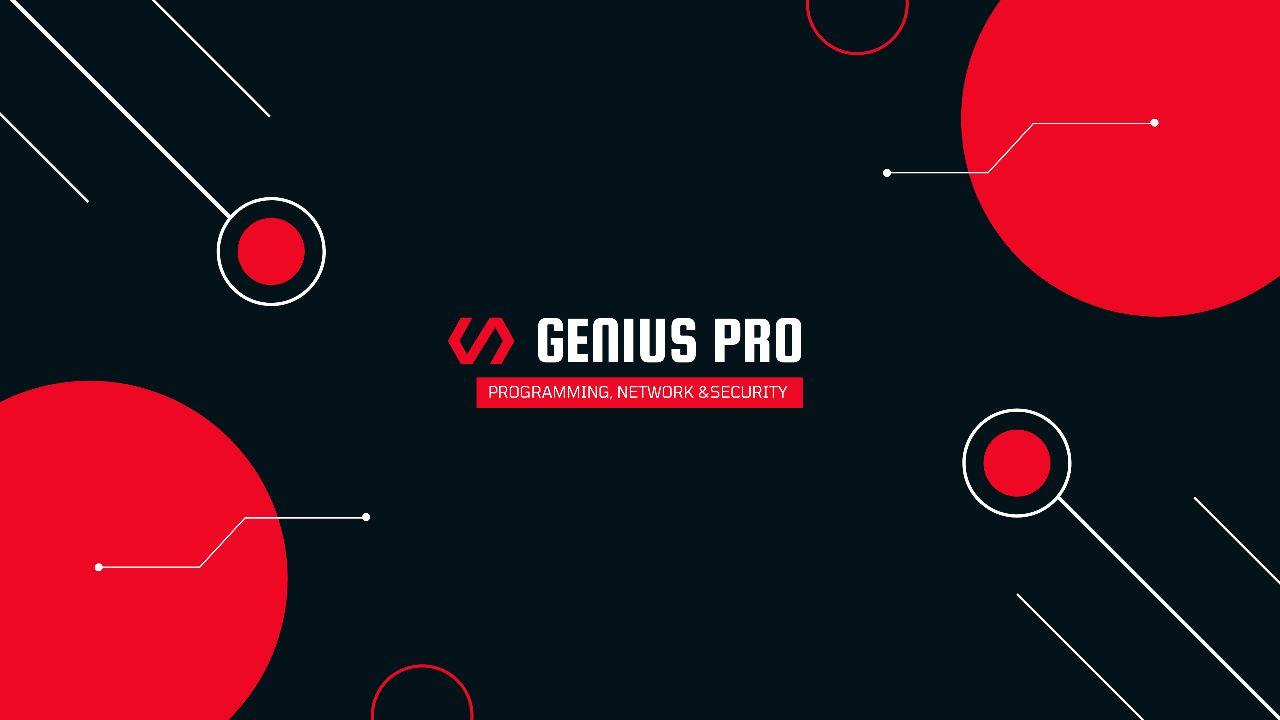 Genius Programmer