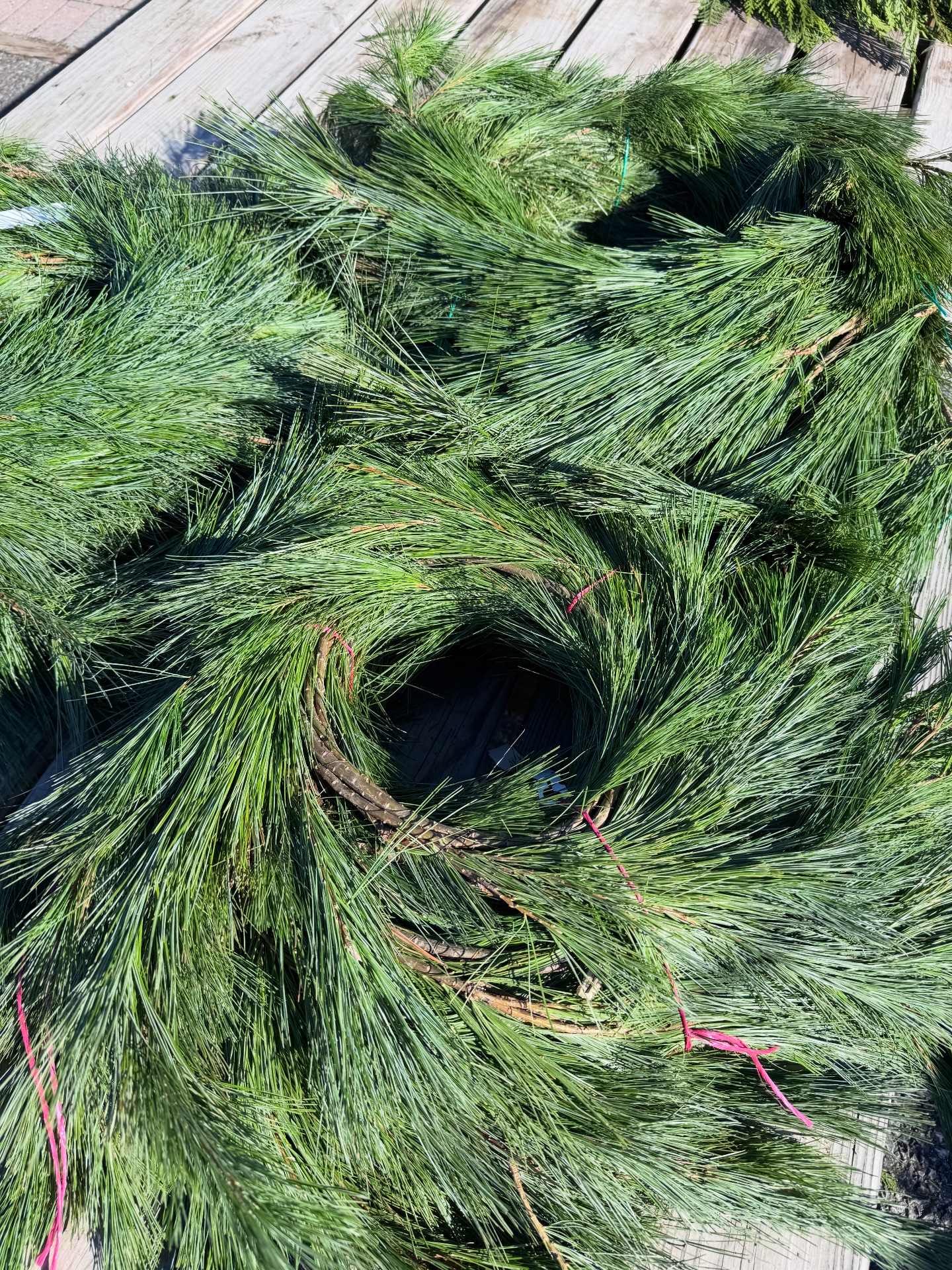 Fresh White Pine Roping Has... - Dambly's Garden Center | Facebook