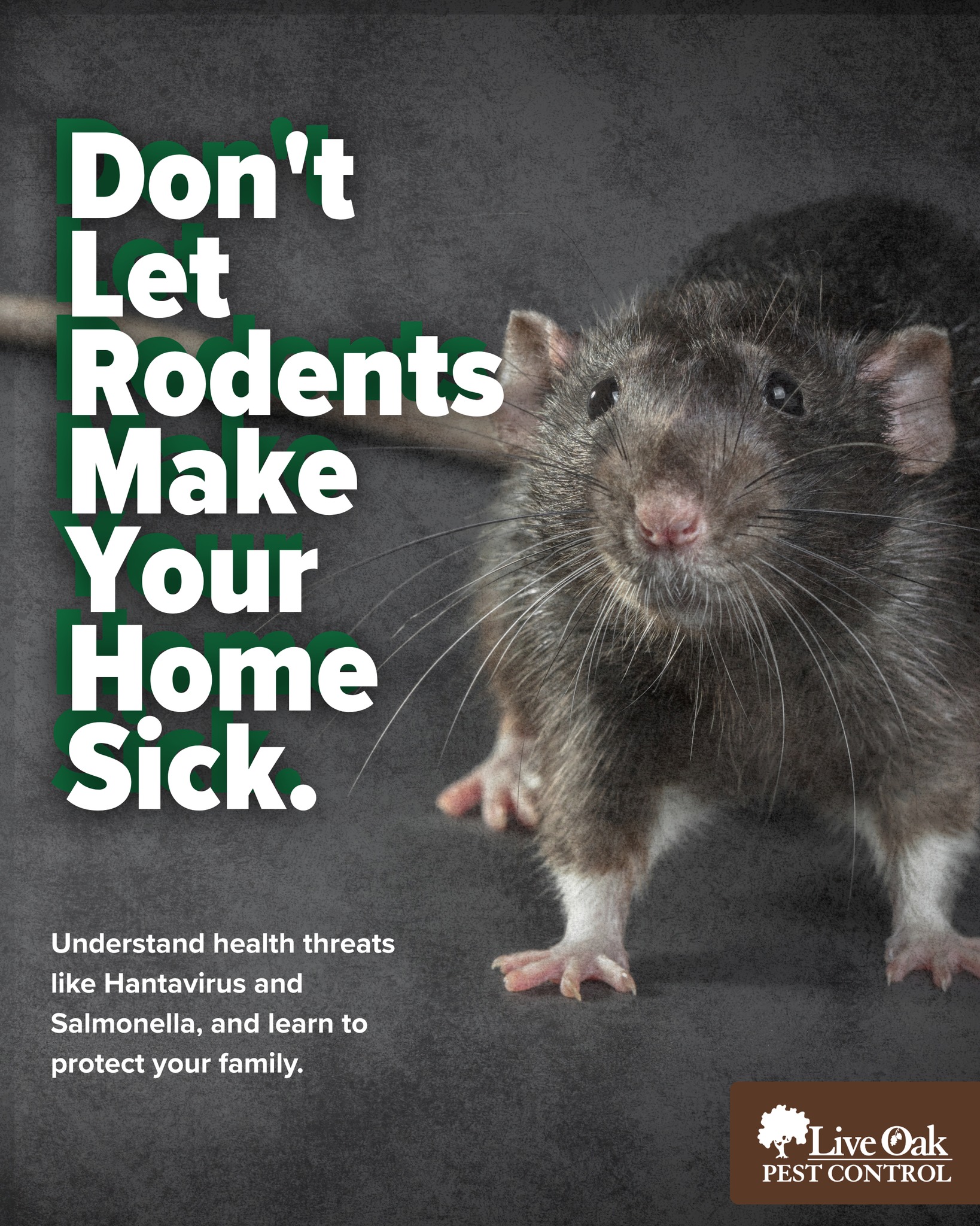 Live - Rodents can silently spread dangerous diseases like Hantavirus ...