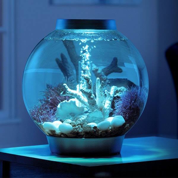 apollo box fish tank AIO 15 PENINSULA acclimation box in 3 sizes The Apollo Box - The