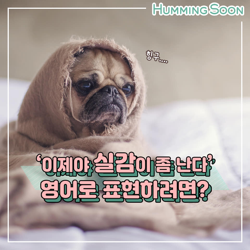 나쁜일은 한~참 후에 실감나는 경우가 많죠? 오늘은 이럴 때 쓰는 표현... - Humming Soon-허밍순