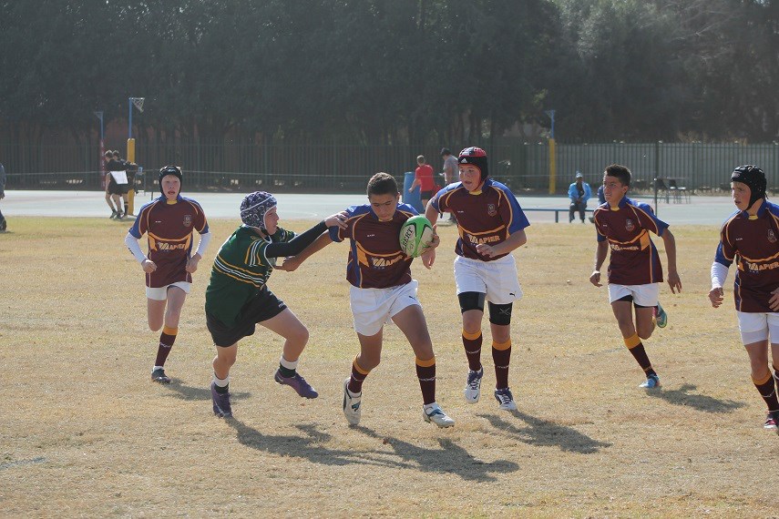 HVS Heidelberg O/14 Rugby - Home