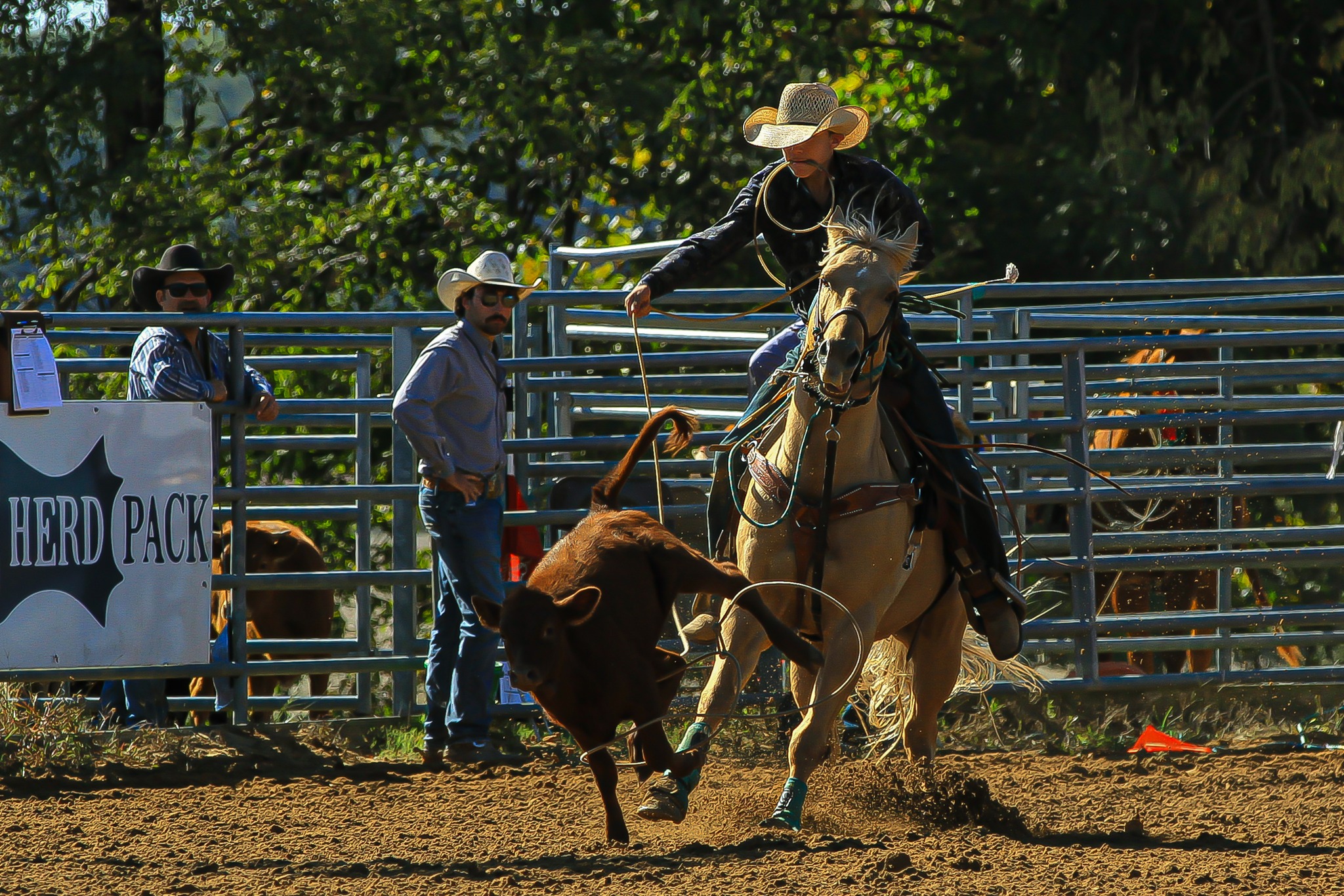 Terry D King Photography added... - Terry D King Photography