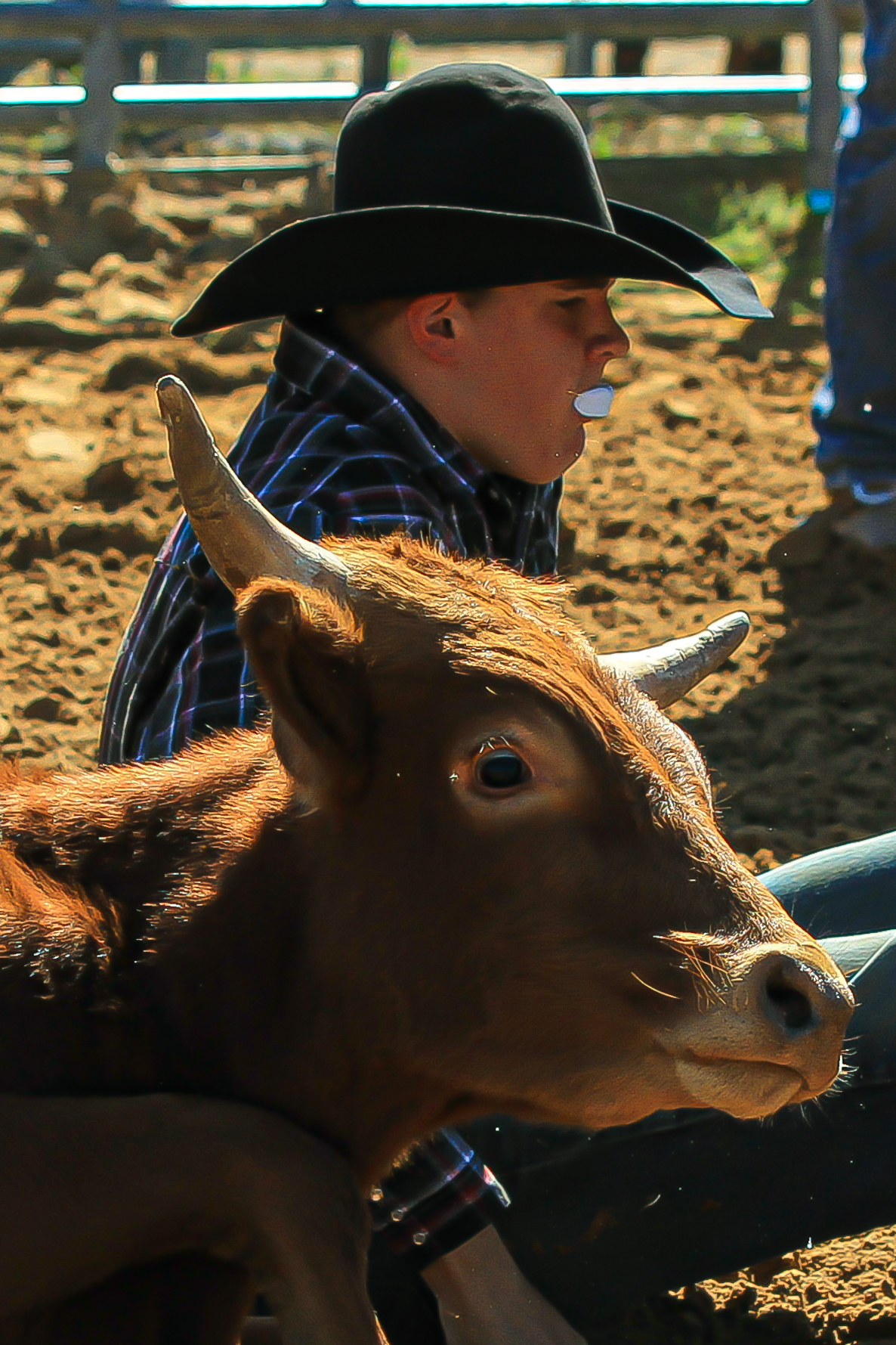 Terry D King Photography added... - Terry D King Photography