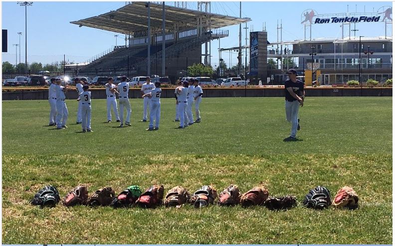 Buzz Baseball Club